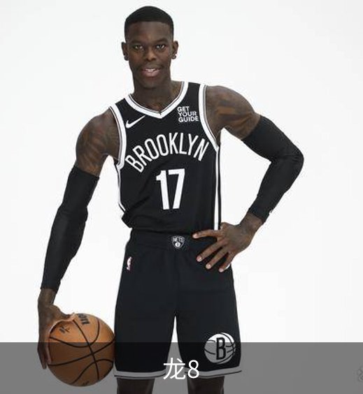 龙8介绍